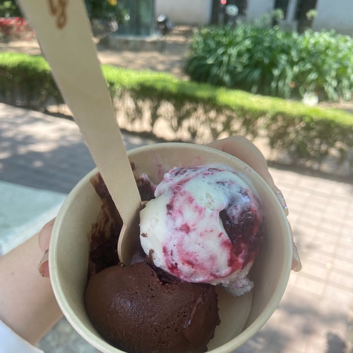 photo of Beyond Sugar helado chico shared by @ilse on  26 Apr 2022 - review
