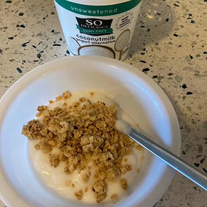 photo of So Delicious Dairy Free Unsweetened Coconut Milk Yogurt Alternative shared by @alphanumer1c on  22 Apr 2021 - review