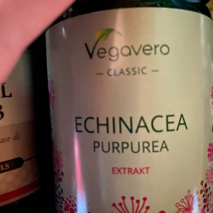 photo of Vegavero Echinacea shared by @babette on  24 Jun 2022 - review