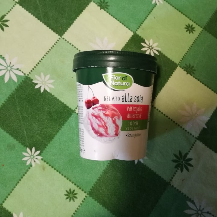review photo of Fior di Natura Gelato Alla Soia Variegato Amarena shared by @robborobot on 18 Jun 2022 - review
