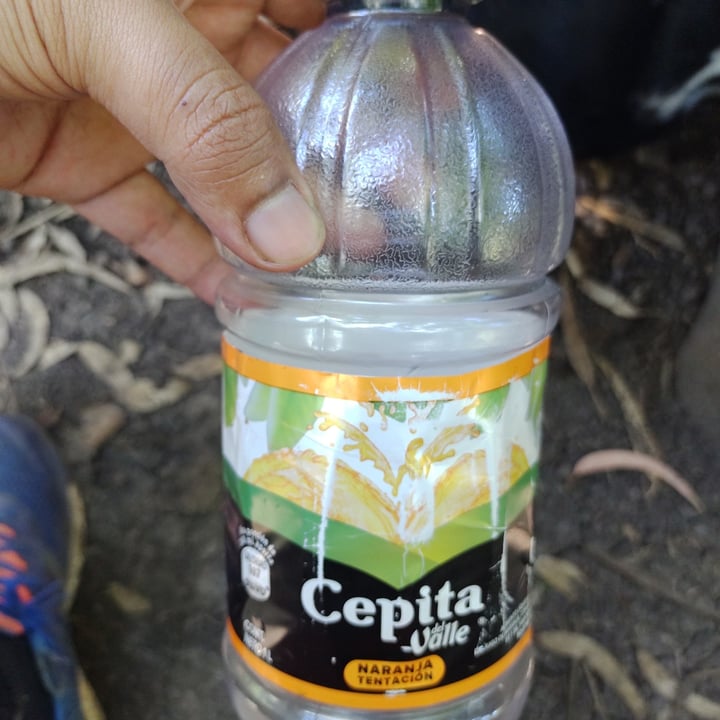 review photo of Cepita del Valle Cepita Del Valle shared by @jtacacho on 10 Feb 2022 - review