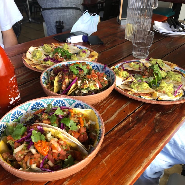 photo of The Fat Cactus Gardens Vegan taco shared by @ninahowell on  19 Oct 2020 - review