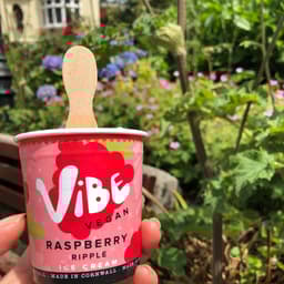 Vibe vegan