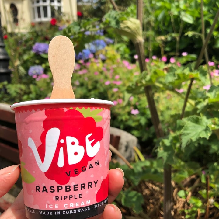 review photo of Vibe vegan Raspberry ripple ice cream shared by @greenmin on 15 Jul 2021 - review