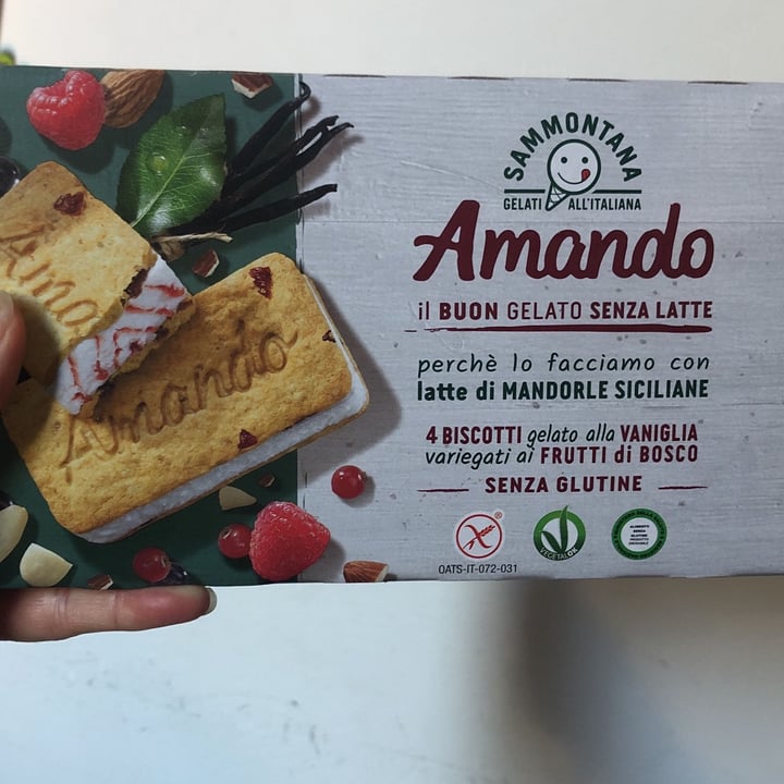 photo of Sammontana Biscotti gelato alla vaniglia variegati ai frutti di bosco shared by @mdpuja on  30 Oct 2022 - review