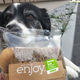 Spar enjoy.