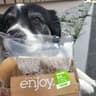 Spar enjoy.
