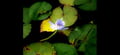 aestheticallyadventurous @aestheticallyadventurous profile image