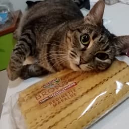 Tre Mulini