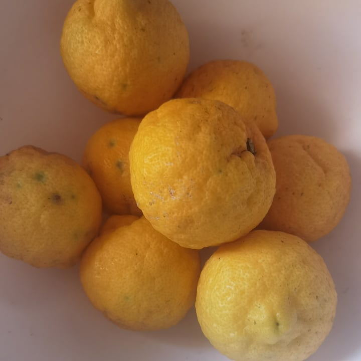 photo of god's lemons Lemons shared by @phoebe777 on  10 Jun 2022 - review