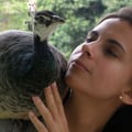veganoca @veganoca profile image