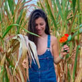 sunflower30 @sunflower30 profile image