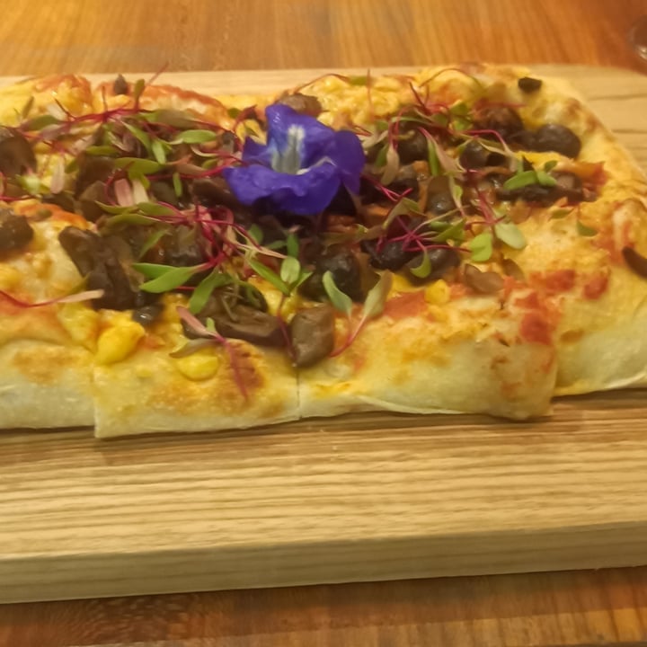 review photo of Prana cogumelo vegana quadrada shared by @bormat on 23 Nov 2022 - review