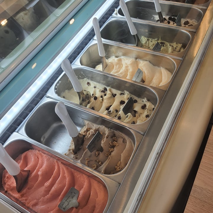 photo of Gaya Gelateria Sorvete Vegano shared by @naargentino on  22 May 2022 - review