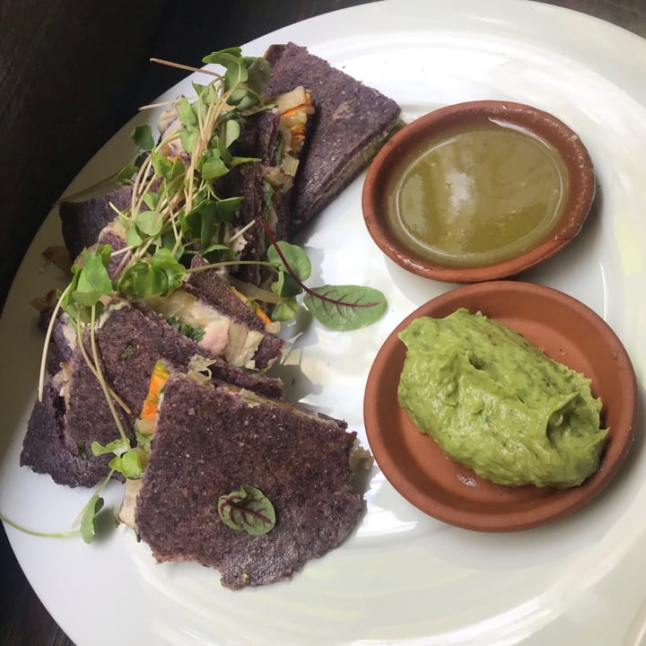 review photo of Mesa Verde Restaurant Squash Blossom Quesadilla shared by @megplant on 03 Aug 2021 - review