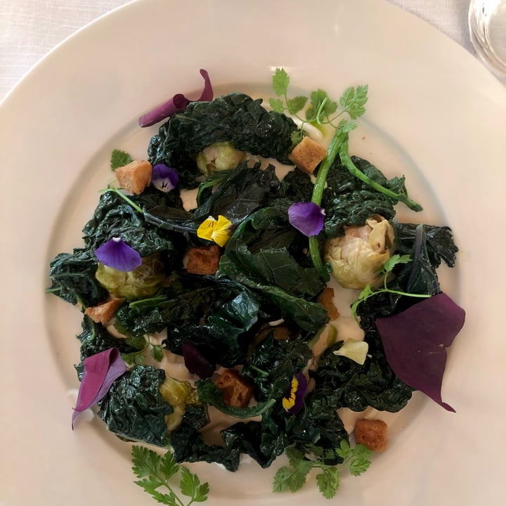 photo of Osteria dello Strecciolo di Redaelli Insalata di cavoli shared by @liucrifu on  18 Nov 2022 - review