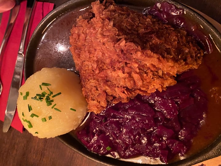 review photo of Bodhi Bodhi Pfanderl shared by @audrey4animals on 05 Apr 2020 - review