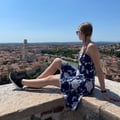 silviapires96 @silviapires96 profile image
