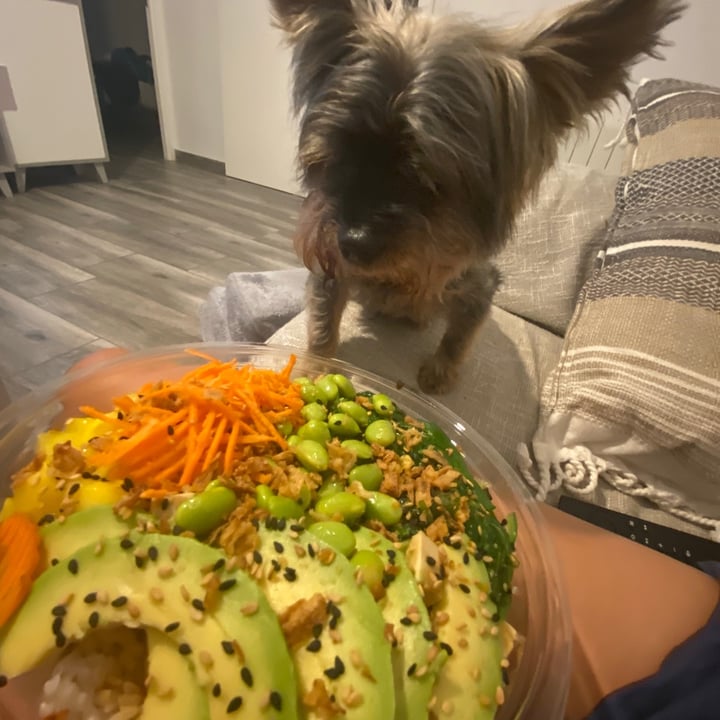 review photo of Aloha Poké Bowl Grande shared by @taniavg on 07 Sep 2021 - review