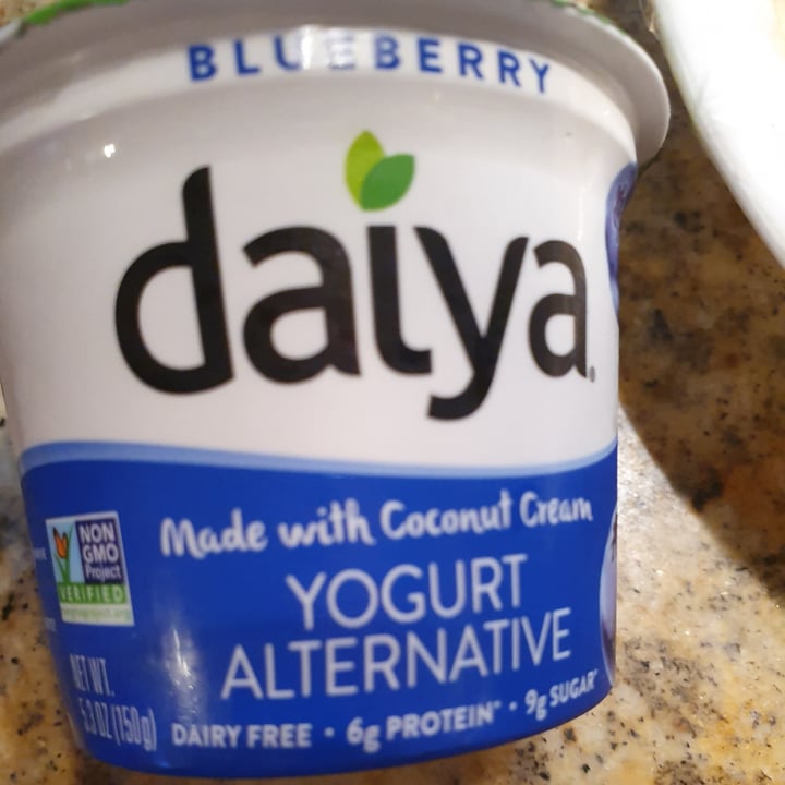 photo of Daiya Blueberry Yogurt shared by @anistavrou on  09 Aug 2020 - review