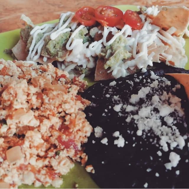 Foto do prato “Chilaquiles y tofu revuelto”