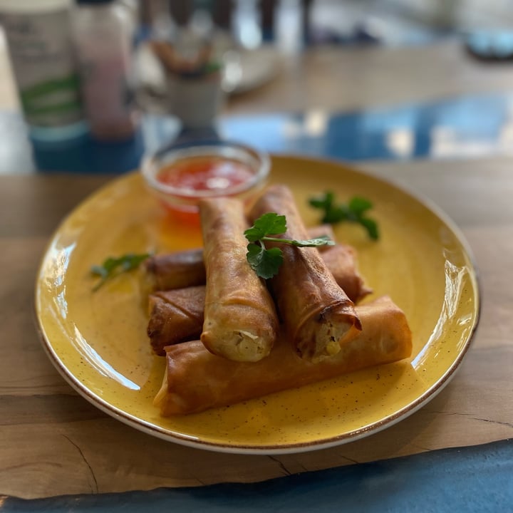 photo of Cleavy's Vegan & Vegetarian Eatery Tofu Spring rolls shared by @rachanab on  14 Aug 2022 - review