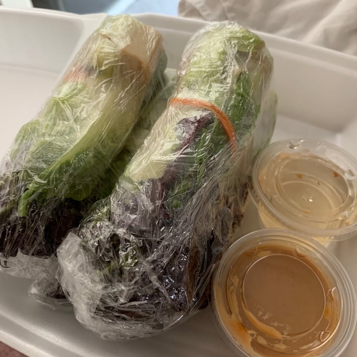 photo of Happy Thai Restaurant Spring Rolls shared by @allhess on  06 Jun 2020 - review