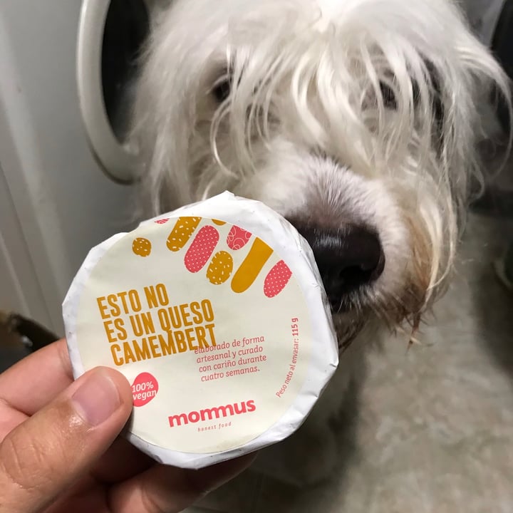 photo of Mommus Foods Esto no es un Queso Camembert shared by @jorgevegan on  31 Dec 2020 - review