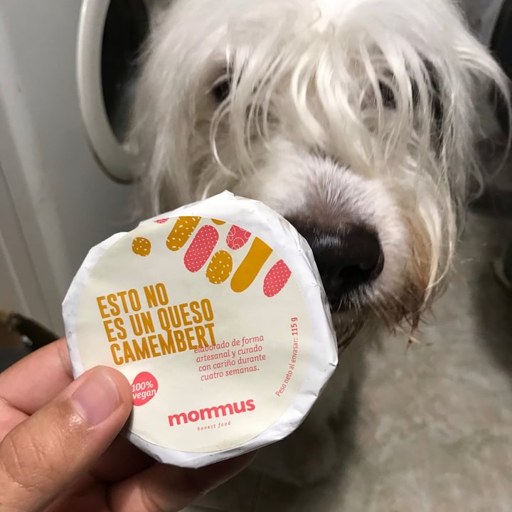 review photo of Mommus Foods Esto no es un Queso Camembert shared by @jorgevegan on 31 Dec 2020 - review