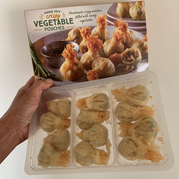 photo of Trader Joe's Crispy Vegetable Pouches shared by @anasoto on  10 Dec 2021 - review