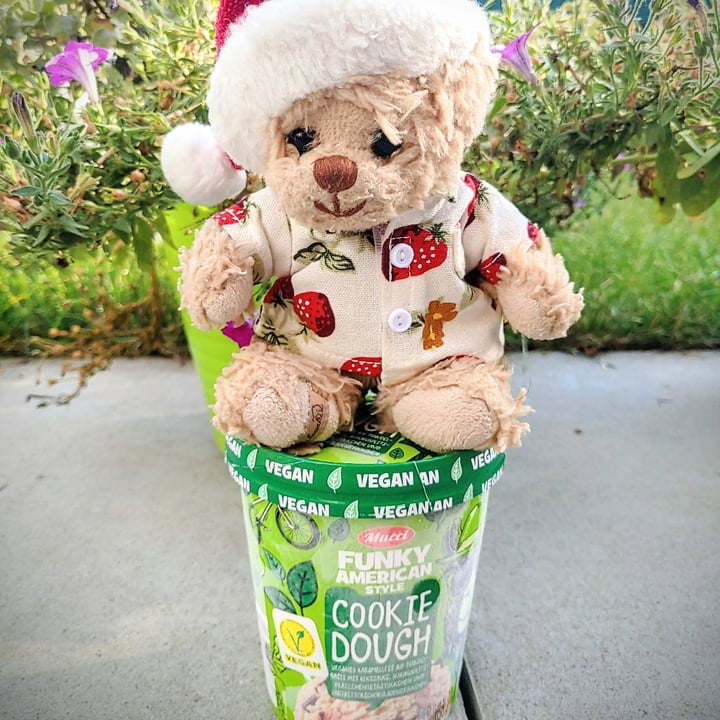 photo of Mucci Funky America  Style Cookie Dough Eis shared by @bubi-the-bear on  27 Aug 2022 - review
