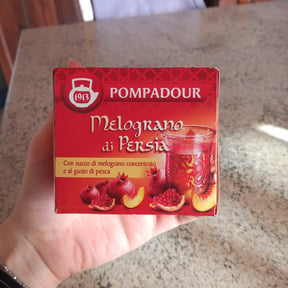 Pompadour, Mix di 4 Infusi dal Mondo, 1 Infuso Mela d'Oriente, 1 Infuso  Melograno di Persia, 2 Infusi allo Zenzero e Mango Thai, Senza Lattosio,  Glutine e Allergeni, Vegan : : Alimentari