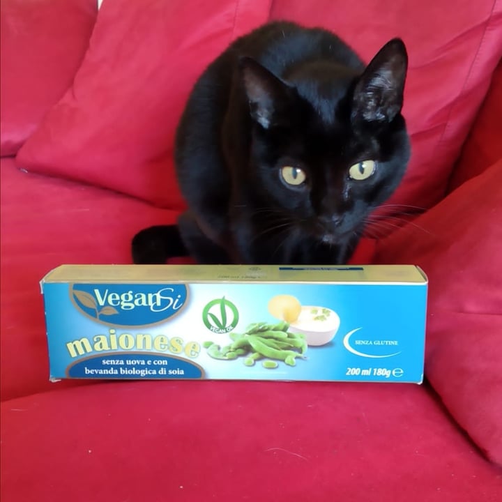 review photo of Vegansi Maionese shared by @pulce on 01 Nov 2022 - review