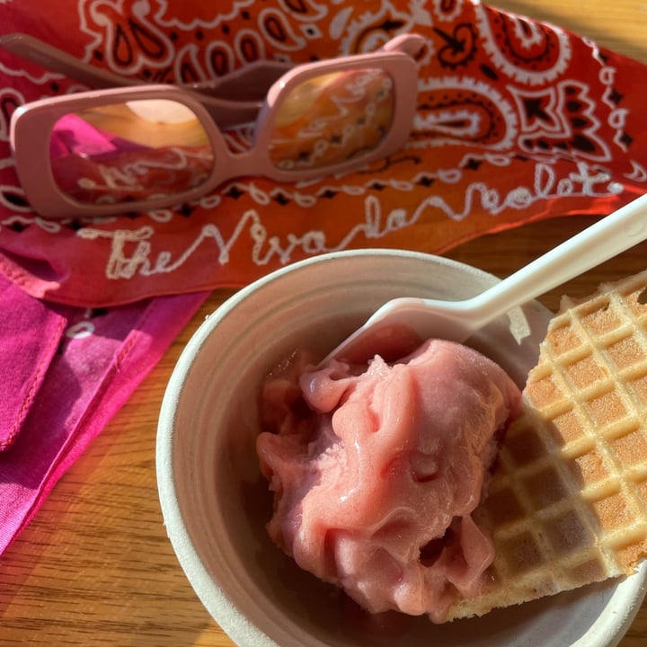 photo of Jeni's Splendid Ice Creams Frose Sorbet shared by @vivalaviolet on  22 Jun 2022 - review
