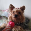biancasellitti @biancasellitti profile image