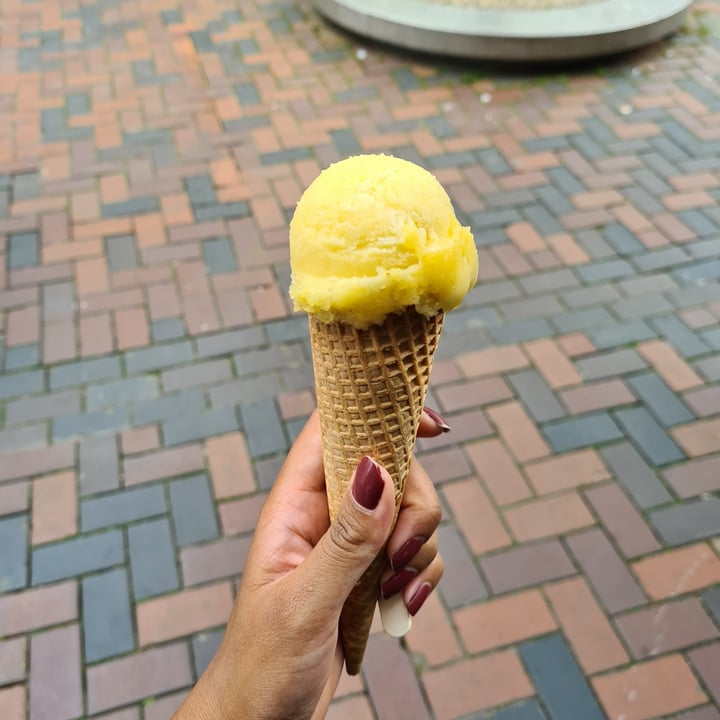 photo of IJscuypje Bijlmerplein passion fruit/ pineapple shared by @ishara- on  23 Jun 2022 - review