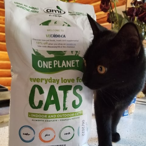 Ami cat food on sale