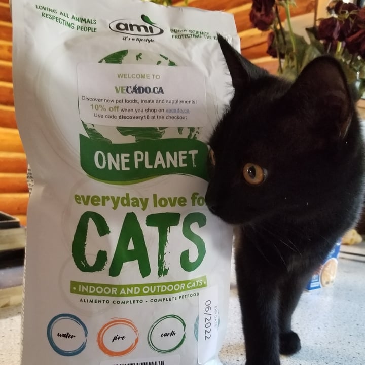 photo of Amì Ami Cat shared by @veganonvanisle on  26 Jun 2021 - review