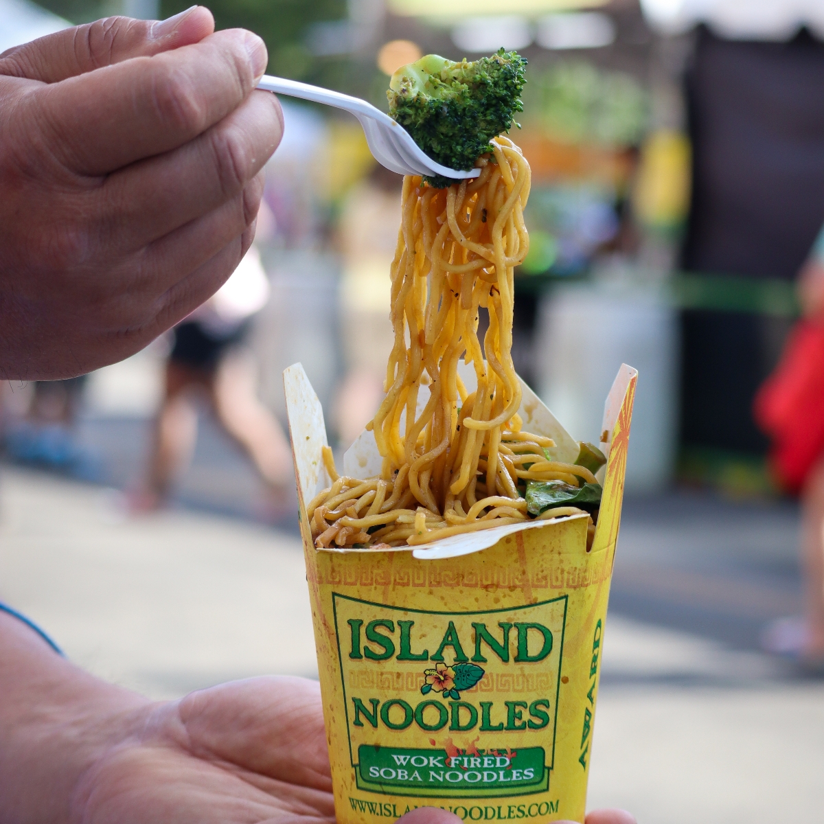 Island Noodles Vegan Soba Noodles Reviews abillion