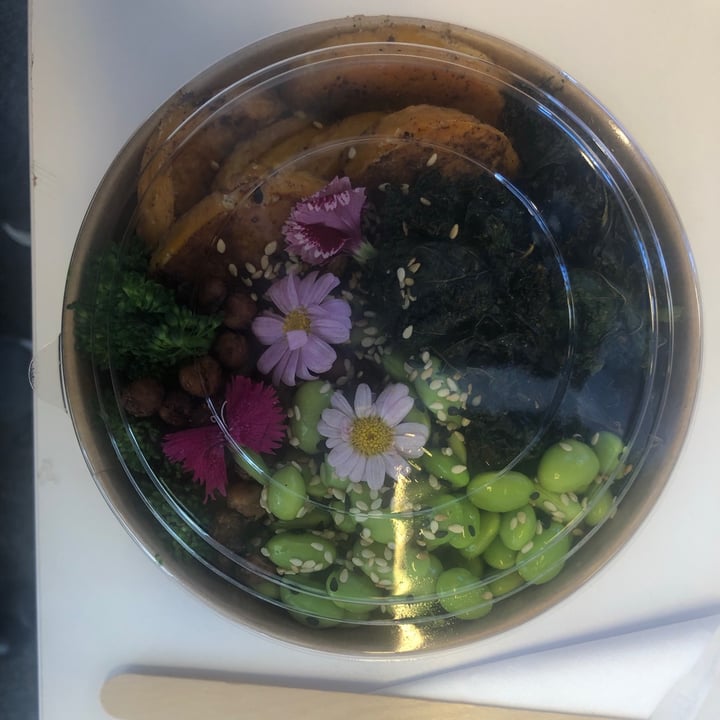 review photo of Harvest Cafe Rainbow Buddha Bowl shared by @dominickara on 10 Jul 2021 - review