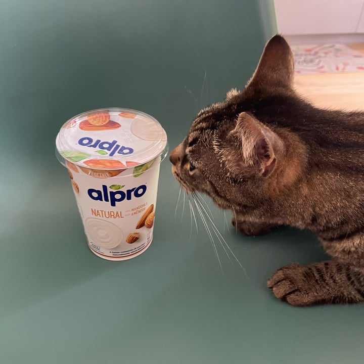 photo of Alpro almond yogurt shared by @ambra83 on  06 Jul 2022 - review