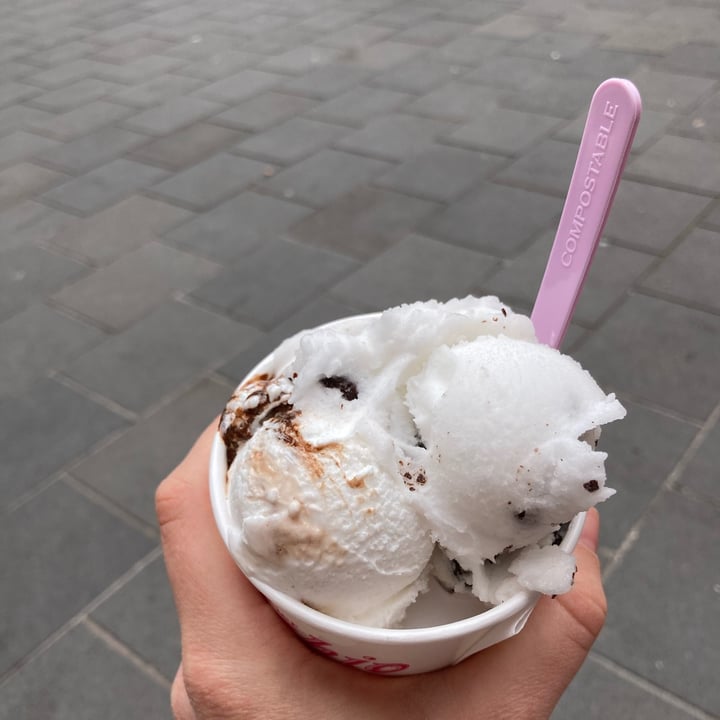 photo of Fenocchio Gelato Menthe Chocolat shared by @chloslo on  01 May 2022 - review