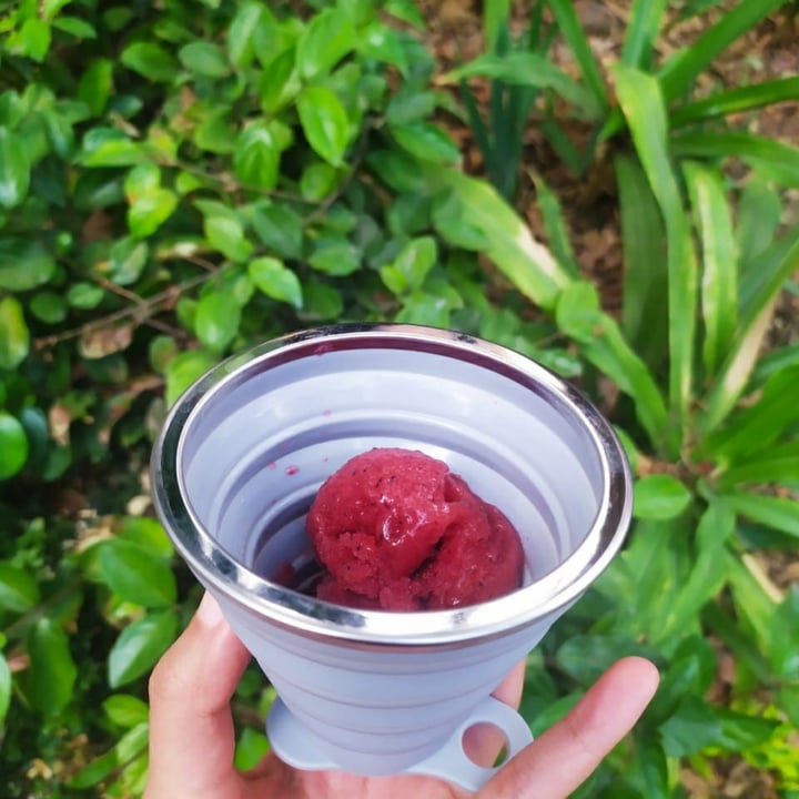 review photo of Pulsus Helado de frutos rojos shared by @usagisorrow on 24 Apr 2021 - review