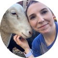 sedrew1 @sedrew1 profile image