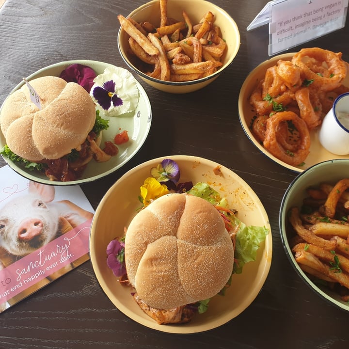 review photo of Asher's Corner Cafe @ Ashers Farm Sanctuary The Unbelievable Burger shared by @jadekaicer on 08 May 2021 - review