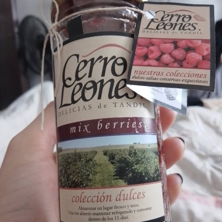photo of Cerro Leones Cerro Leones Mix Berries shared by @tamosveganos on  04 Jul 2021 - review