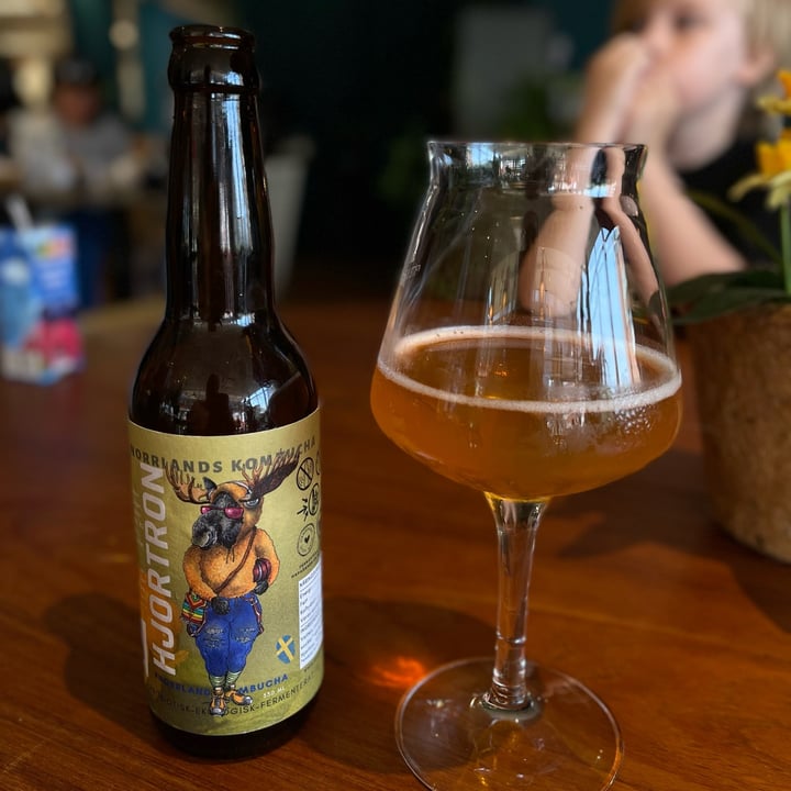 review photo of Norrlands Kombucha Hjortron Kombucha shared by @ina-n on 30 Jun 2022 - review