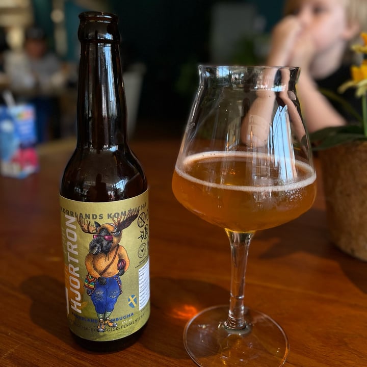 photo of Norrlands Kombucha Hjortron Kombucha shared by @ina-n on  30 Jun 2022 - review