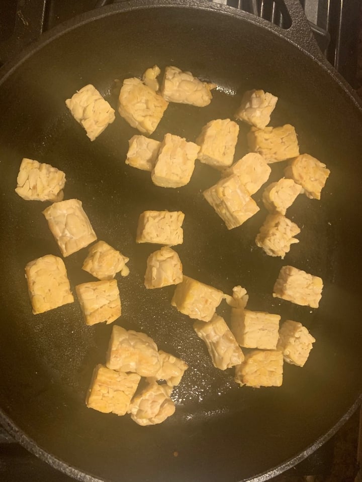 photo of Tofurky Treehouse Tempeh Organic Soy shared by @llamalover on  12 Nov 2019 - review