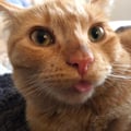 bimbu @bimbu profile image